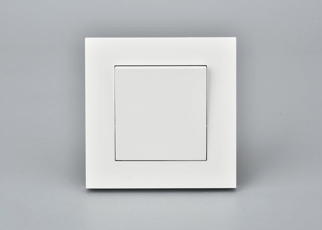 Basic Series - Light Switch - 1 gang
