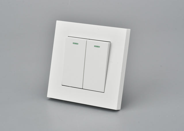 Basic Series - Light Switch - 2 gang
