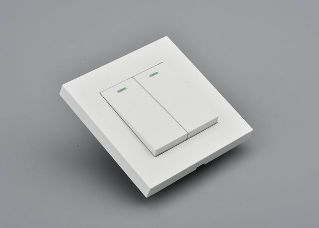 Basic Series - Light Switch - 2 gang